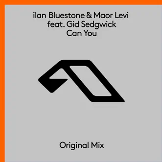 Can You (feat. Gid Sedgwick) [Extended Mix] by Ilan Bluestone & Maor Levi song reviws