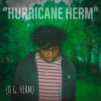 Hurricane Herm