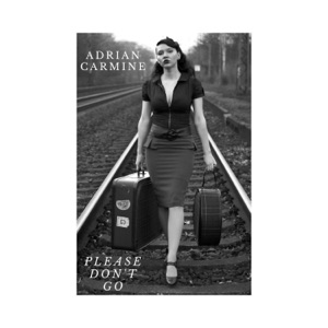 Please Don't Go - Single