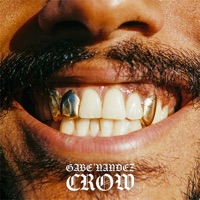 Crow - Single - Gabe 'Nandez