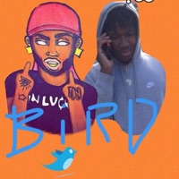 Bird Like (feat. JalenDaGod) - Single - Hollyhood Shumpo