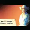 Walter Silva - Rios de Trago
