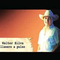 Llanero a Pulso - Walter Silva