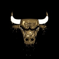 The Bulls Intro - Single - FDBK