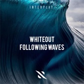 Following Waves (Extended Mix) artwork