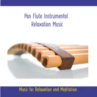 Pan Flute Instrumental Relaxation Music (Track 1)