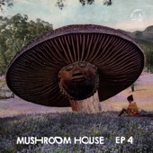 Mushroom House EP4 - EP artwork