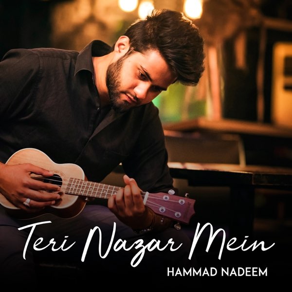 Teri Nazar Mein - Single by Hammad Nadeem on Apple Music