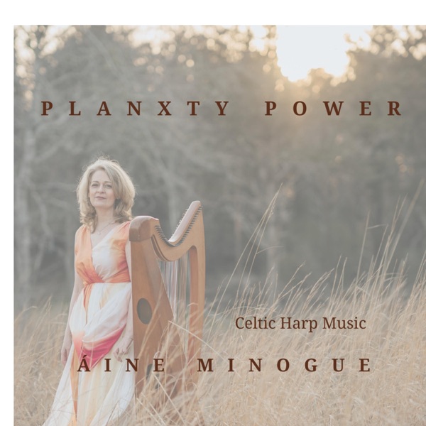 Planxty Power - Single
