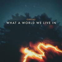 What a World We Live In - Single - Oshins