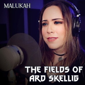 The Fields of Ard Skellig - Single