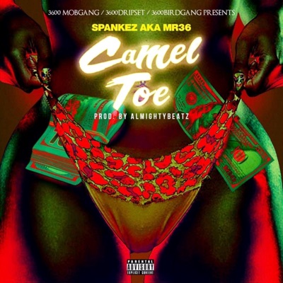 Camel Toe - Single