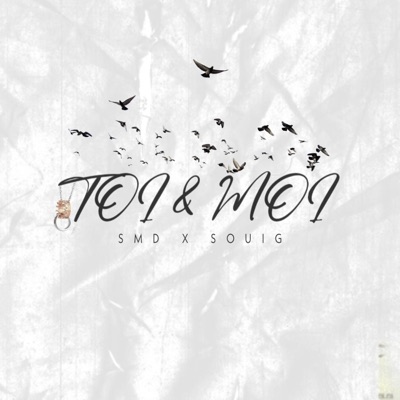 Toi & Moi (feat. SouiG) - Single