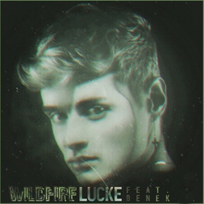 Wildfire (feat. Benek) - Single