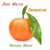 Juan Mejia - Tangerine (Original Mix)