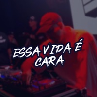 Essa Vida É Cara - Single - Dj Bruninho da Serra