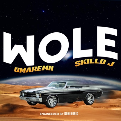 Wole (feat. Skillo J) - Single