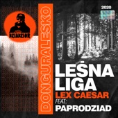 Leśna Liga (feat. Lex Caesar & Paprodziad) artwork