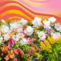 Magia - Single - Monogem