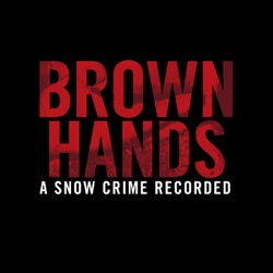 Brown Hands - A Snow Crime Recorded (Part 3)