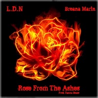 Rose from the Ashes (feat. Breana Marin) - Single - L.D.N