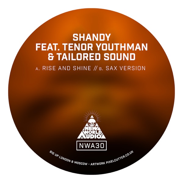Rise and Shine (feat. Tenor Youthman & Tailored Sound) - Single