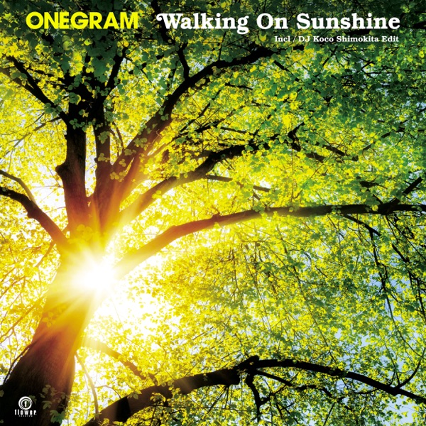 Walking On Sunshine - Single
