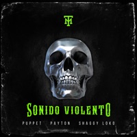 SONIDO VIOLENTO - Single - Payton, PUPPET & Shaggy Loko