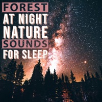Forest at Night - Nature Sounds for Sleep - Natural Sound Makers, Nature Recordings & Natural Sample Makers