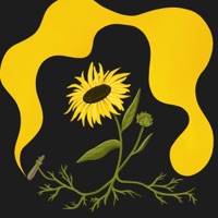 Sunflower Joint - Single - MZERA