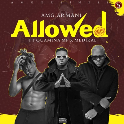 Allowed (feat. Medikal & Quamina MP) - Single