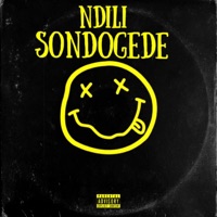 Ndili Sondogede - Single - The notorious h2o