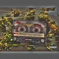 Swing (feat. Ceyce & Ian Caro) - Single - Till Rich