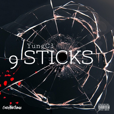 9 Sticks - Single