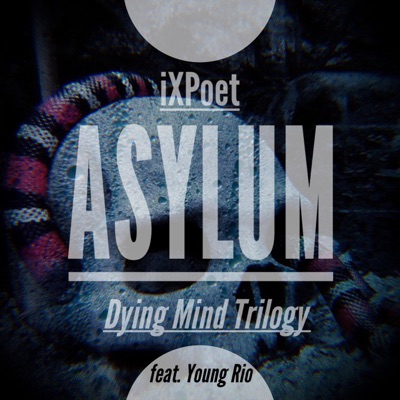 Asylum (feat. Young Rio) - Single