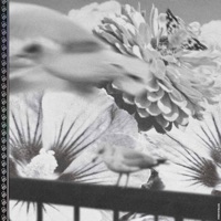 Better - Single - O2worldwide