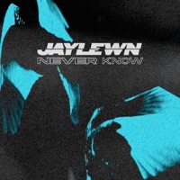 Never Know - Single - Jay Lewn