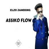 Assiko Flow artwork