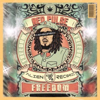Freedom - Single - Red Pulse