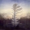 Little Wonders