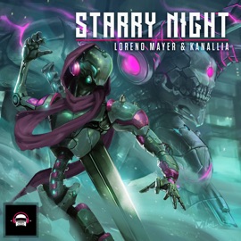 Starry Night (Extended Mix) Loreno Mayer & Kanallia