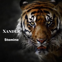 Stamina - Single - Xander