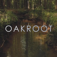 Oakroot (feat. Hnrk) - Single - grayera