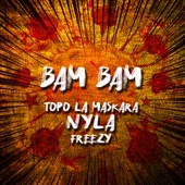 Bam Bam artwork