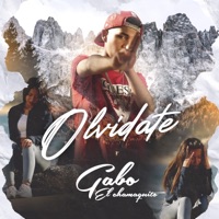 Olvidate - Single - Gabo El Chamaquito