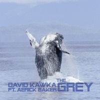 The Grey (feat. Aerick Baker) - Single - David Kawka
