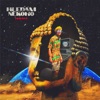 Hledam Nekoho - Single