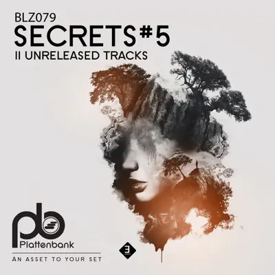 Listen to Secrets #5 by Various Artists