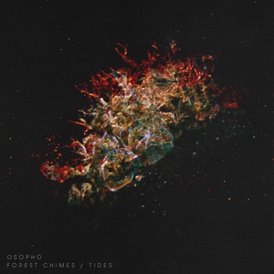 Forest Chimes / Tides - Single
