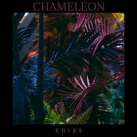 Chameleon CRISS